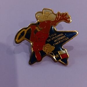BPOE Elks 136th National Convention 2000 Dallas Texas Star Hat Lapel Pin Pinback